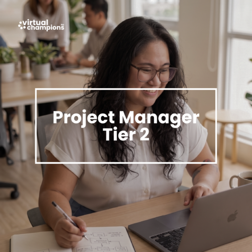 Project Management Tier 2 Service
