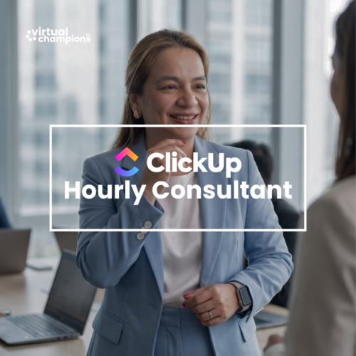 ClickUp Hourly Consultation
